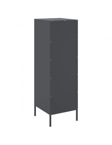 Credenza Antracite 36x39x113 cm in Acciaio