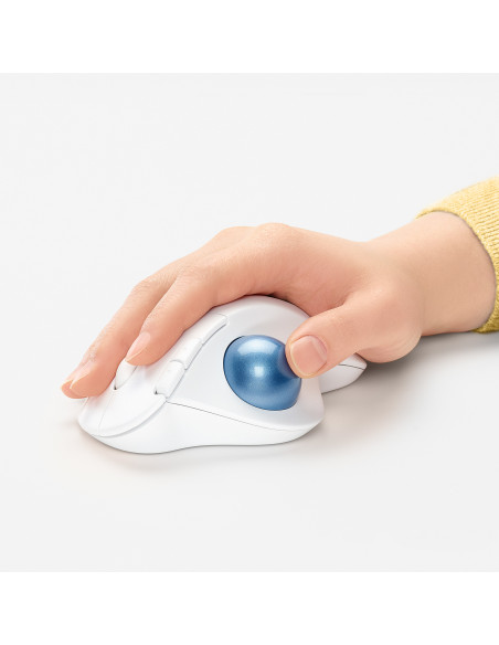 Logitech Ergo M575 mouse Ufficio Mano destra RF senza fili + Bluetooth Trackball 2000 DPI