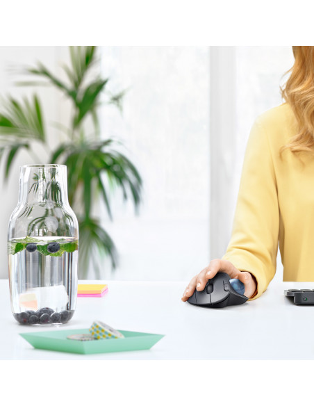 Logitech Ergo M575 mouse Ufficio Mano destra RF senza fili + Bluetooth Trackball 2000 DPI