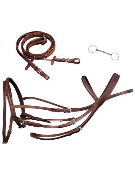 Briglie in Pelle con Redini e Morso Marrone per Cavallo Full