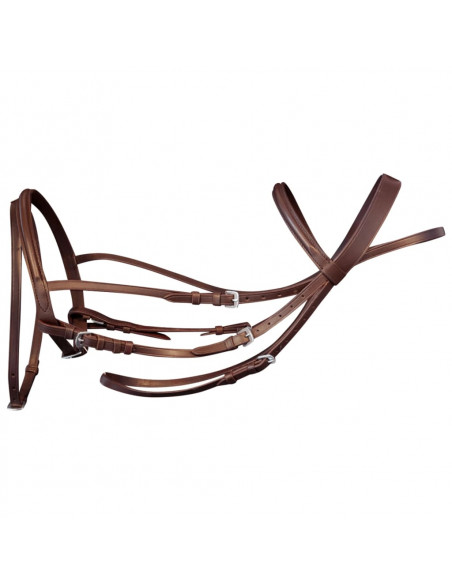 Briglie in Pelle con Redini e Morso Marrone per Cavallo Full