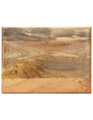 Portariviste 40x30x50 cm in Legno Massello di Mango e Acciaio