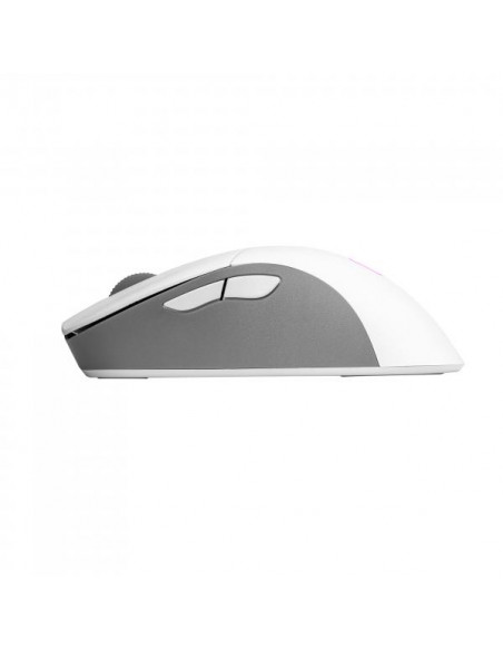 Cooler Master Periferiche MM731 RGB Mouse Ottico 19000DPI 5 tasti Wireless/BT
