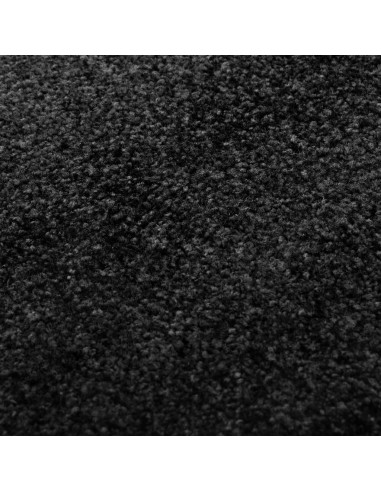 Zerbino Lavabile Nero 90x150 cm