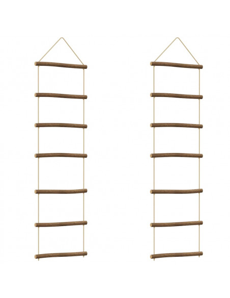 Decorazioni Parete a Forma di Scala 2 pz 30x100cm Ramo Naturale