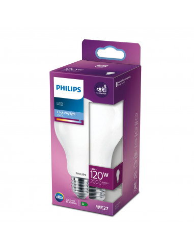 Philips Lampadina smerigliata a filamento 120 W A67 E27