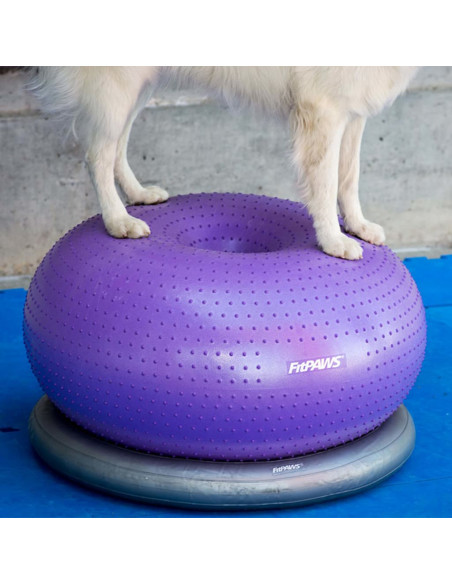 FitPAWS Supporto Anello di Addestramento 63 cm Grigio