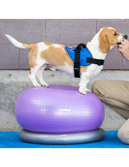 FitPAWS Supporto Anello di Addestramento 63 cm Grigio