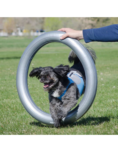 FitPAWS Supporto Anello di Addestramento 63 cm Grigio