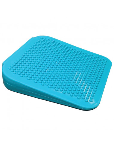 FitPAWS Rampa di Bilanciamento per Animali Domestici 35x35x7 cm Blu