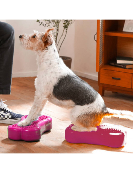 FitPAWS Piattaforme Equilibrio Animali Mini K9FITbone 2 pz 29x16,5x6cm