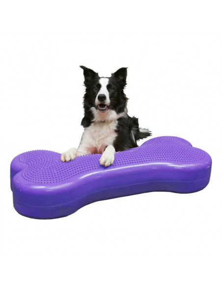 FitPAWS Piattaforma Equilibrio per Animali Giant K9FITbone PVC Viola