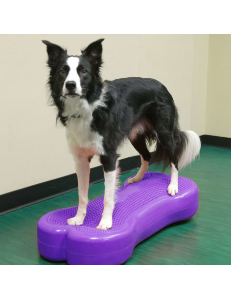 FitPAWS Piattaforma Equilibrio per Animali Giant K9FITbone PVC Viola