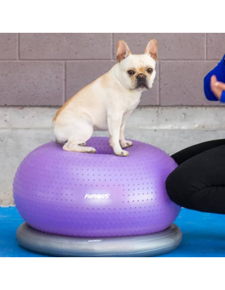FitPAWS Palla di Equillibrio per Animali TRAX Donut 55 cm Viola