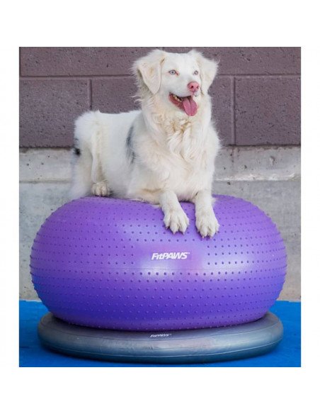 FitPAWS Palla di Equillibrio per Animali TRAX Donut 55 cm Viola