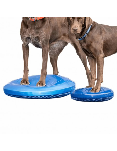 FitPAWS Disco per l'Allenamento dell'Equilibrio per Cani 36 cm Blu