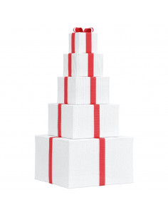 Confezione Regalo Decorazioni Natalizie 250 LED Bianco Caldo 2