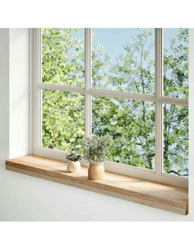 Davanzali 2 pz Non Trattati 100x15x2cm Legno Massello di Rovere