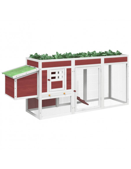 Pollaio Moka 204x50x84 cm in Legno Massello di Pino