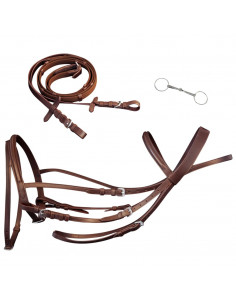 Briglie in Pelle con Redini e Morso Marrone per Pony