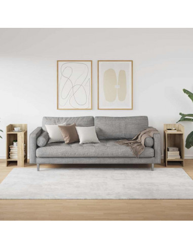 Tavolini Laterali 2pz con Ripiano Rovere Sonoma 25,5x27x60 cm