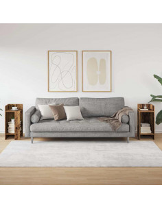 Tavolini Laterali 2 pz con Ripiano Legno Antico 25,5x27x60 cm 2