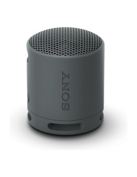 Cassa wireless Sony SRSXB100B CE7 Compact Black Black