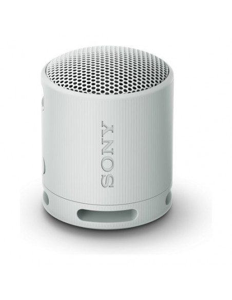 Cassa wireless Sony SRSXB100H CE7 Compact Grigio Grigio