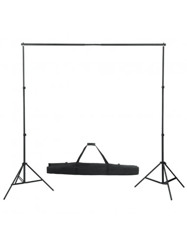 Kit per Studio Fotografico con Set di Luci e Fondale