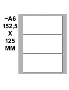 CONF.10 BUSTE ETIC.MARKIN 51 100X46