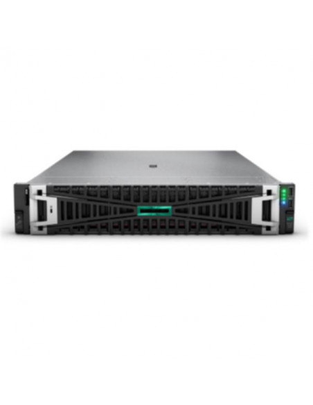 HPE DL380 G11 4510 64G MR416I-P SVR