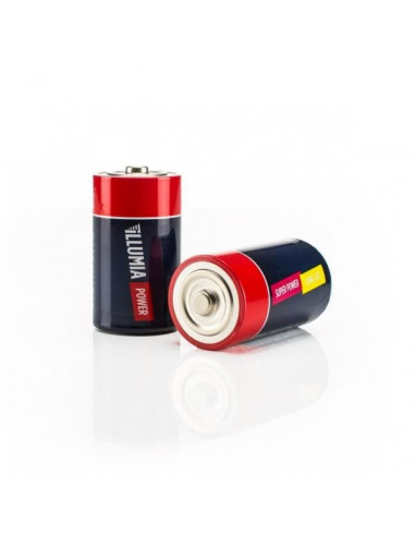 Nilox ALKALR20D00001 batteria per uso domestico Batteria ricaricabile LR20 Alcalino