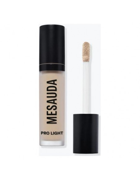 Correttore viso Mesauda Pro Light Concealer Fluido C10