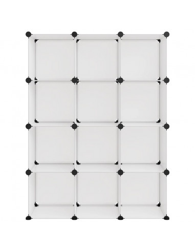 Organizzatore Portaoggetti con 12 Cubi Trasparenti in PP