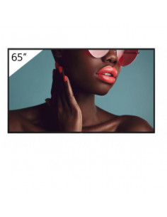 65  4K 24/7 PROFESSIONAL BRAVIA