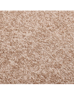 Zerbino Beige 60x80 cm