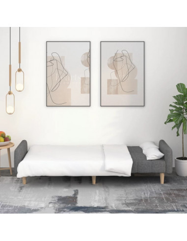 Divano Letto a 2 Posti Grigio Chiaro in Tessuto