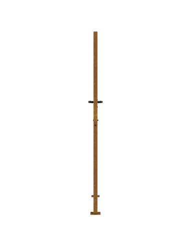 Cancello da giardino 100x200 cm in acciaio Corten con design erba