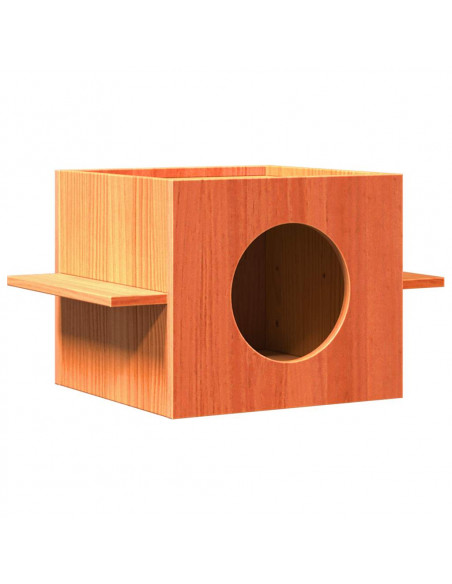 Cuccia per Gatti Marrone Cera 51x35x30cm Legno Massello di Pino