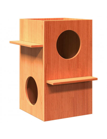 Cuccia per Gatti Marrone Cera 43x43x60cm Legno Massello di Pino