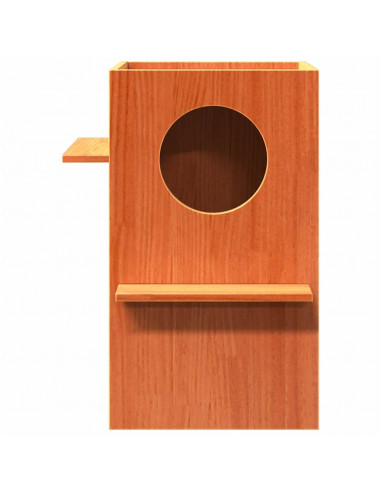 Cuccia per Gatti Marrone Cera 43x43x60cm Legno Massello di Pino