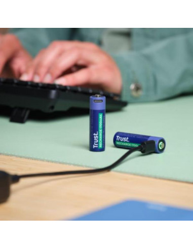 USB-C RECHARGEABLE BATTERIES 2P - A