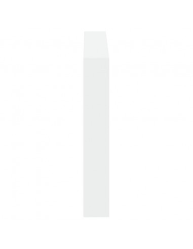 Testiera con Contenitore a LED Bianca 100x17x102 cm