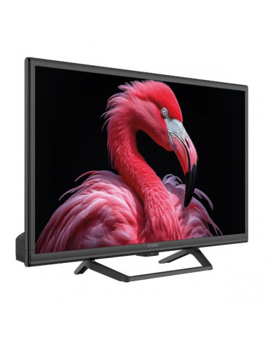 24 HD READY T2/S2/C GOOGLE TV 12220