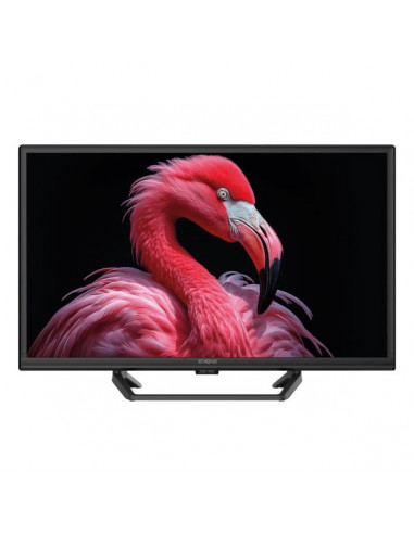 24 HD READY T2/S2/C GOOGLE TV 12220