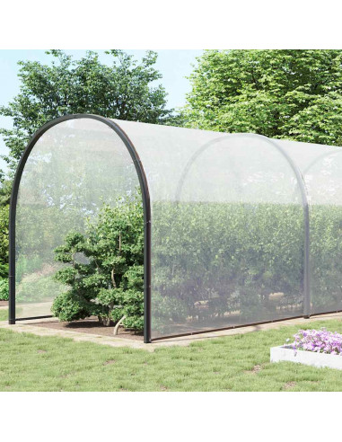 Telone Trasparente con Occhielli 12x12 m in Polietilene