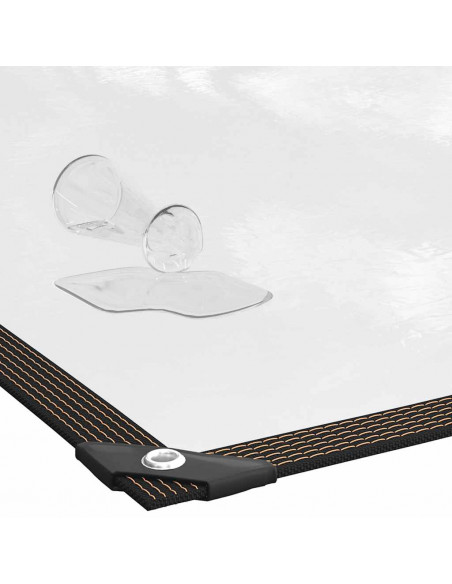 Telone Trasparente con Occhielli 1x10 m in Polietilene