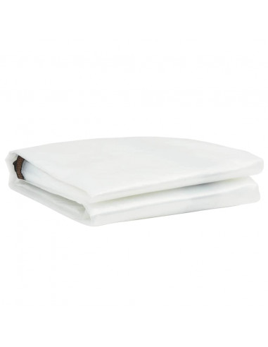 Telone Trasparente con Occhielli 1x2 m in Polietilene