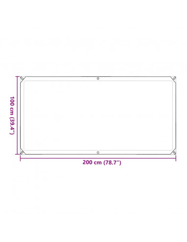 Telone Trasparente con Occhielli 1x2 m in Polietilene