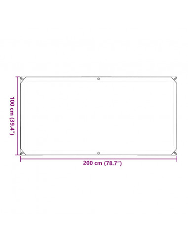 Telone Trasparente con Occhielli 1x2 m in PVC
